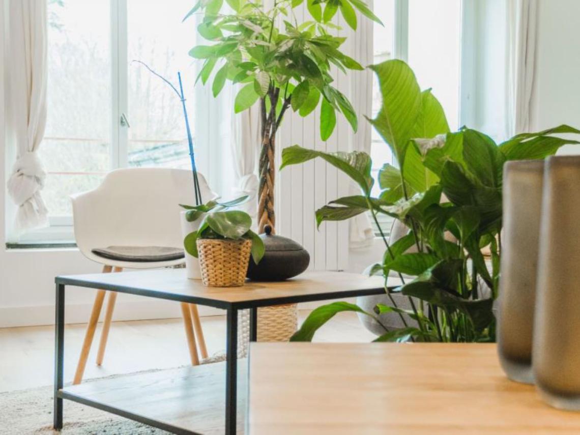 Résidence co-living HOMIES 96LILLE à Tourcoing