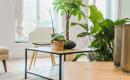 Résidence co-living HOMIES 96LILLE à Tourcoing