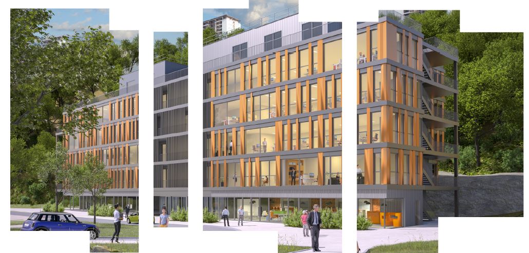 Newton Offices VAISE